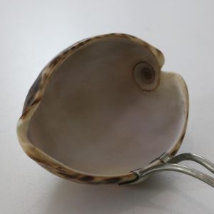SLEV, delvis av snäcka, 17/1800-tal