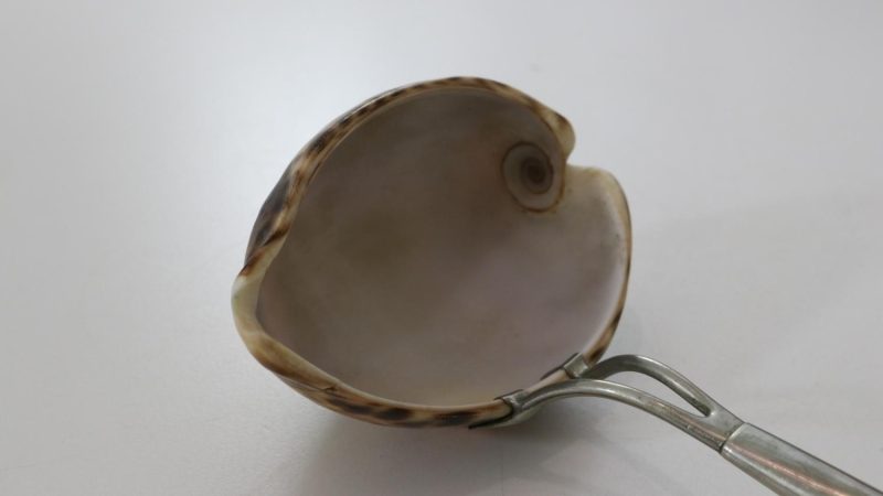 SLEV, delvis av snäcka, 17/1800-tal