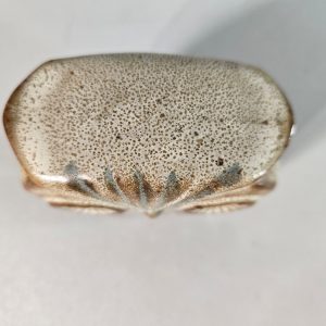 Uggla i lergods med glasyr enligt bilderna.  Ca 9 cm hög ca 4 cm djup