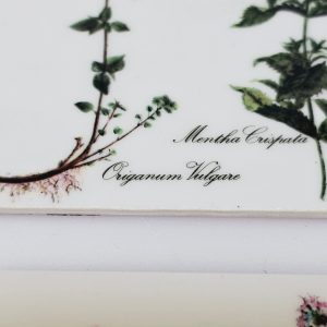 Eleganta underlägg med botaniska illustrationer – set om 6 st.
