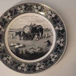 Vintage tysk tallrik Villeroy & Boch, Dresden 6329