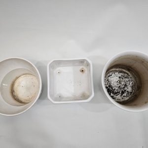 Eleganta Trio av Vita Keramiska Krukor