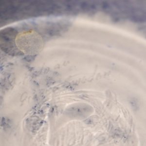 Vacker blå skål från Gränna Glasbruk med silverdetaljer