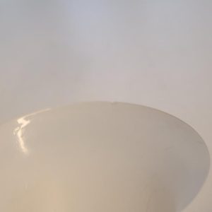 Glasvas, fågelmotiv