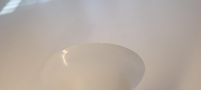 Glasvas, fågelmotiv