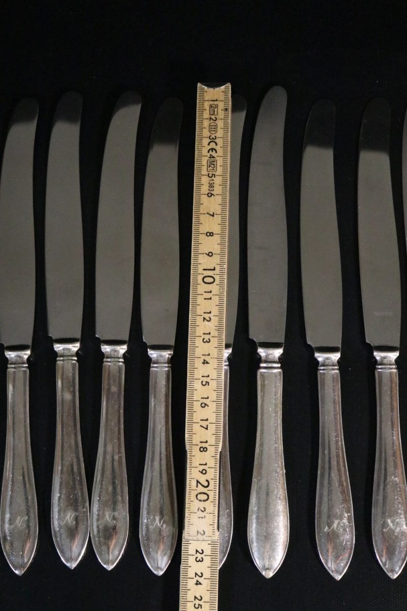 Elegant Bestickset med 15 Knivar i Rostfritt Stål – 24 cm