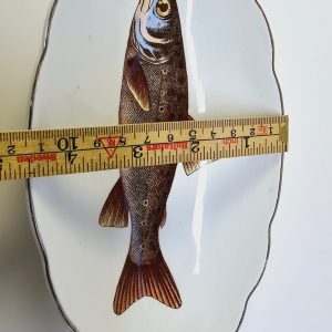 Elegant fiskfat med naturinspirerad design – 20 cm