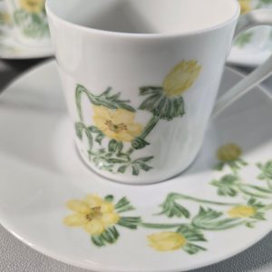 Rosenthal Vintage Kaffeservice (1964)