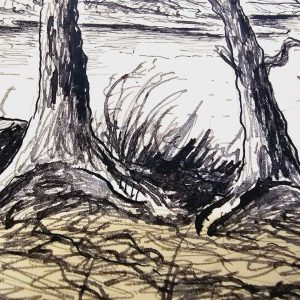 Vackert Jämtlandslandskap – Signerad
