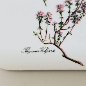 Eleganta underlägg med botaniska illustrationer – set om 6 st.
