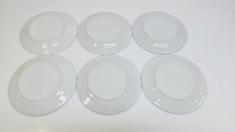 Elegant servis: 6 tallrikar med stilren design och blå kant