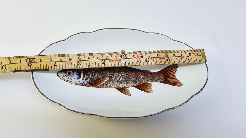 Elegant fiskfat med naturinspirerad design – 20 cm