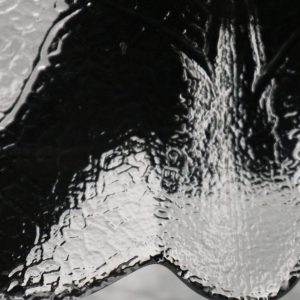Set om sex eleganta glasassietter - Lövet, möjligen från Arcoroc, France
