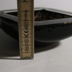 Elegant dekorativ glasskål i svart med metallisk effekt – 14 cm diameter