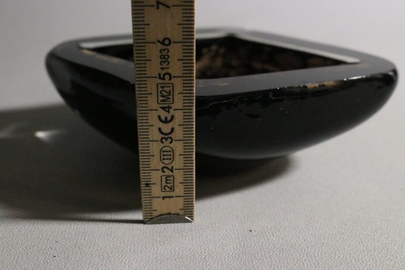 Elegant dekorativ glasskål i svart med metallisk effekt – 14 cm diameter