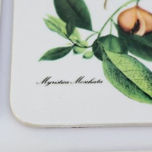 Eleganta underlägg med botaniska illustrationer – set om 6 st.