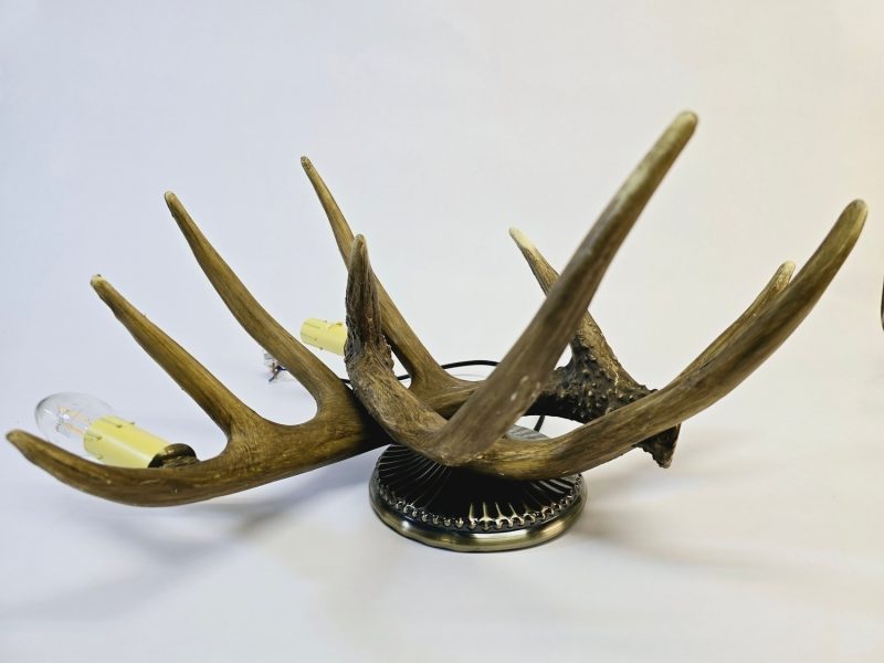 Rustik Vägglampa med Horn – Naturnära Design för Hemmet