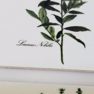 Eleganta underlägg med botaniska illustrationer – set om 6 st.