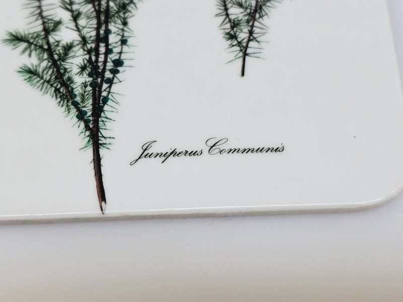 Eleganta underlägg med botaniska illustrationer – set om 6 st.
