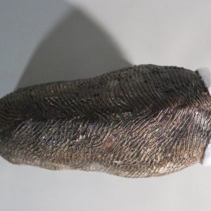Myskoxe / Bisonoxe signerad, I P, glaserad lergods