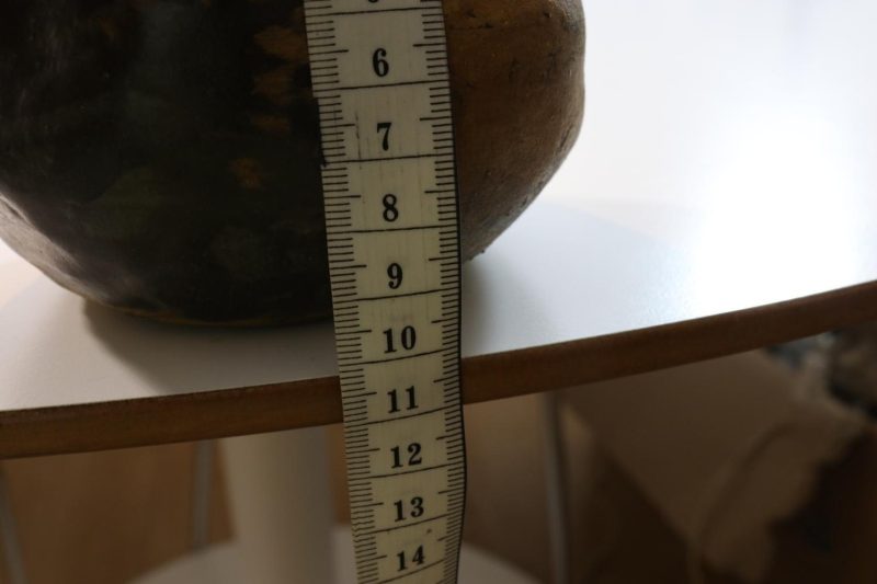 Unik fågel i glaserat stengods, signerad