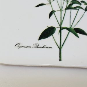 Eleganta underlägg med botaniska illustrationer – set om 6 st.