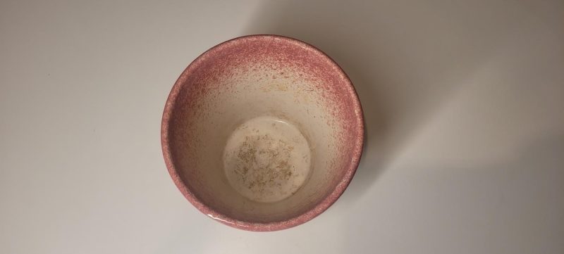 Ytterfoder, vit och rosa, Italien