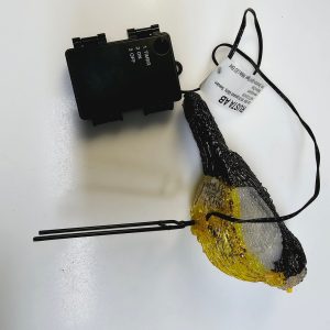 Dekorationsbelysning "Fågel" med Timer - LED för Inne/Utebruk