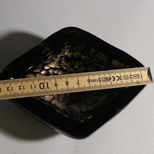 Elegant dekorativ glasskål i svart med metallisk effekt – 14 cm diameter