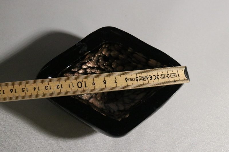 Elegant dekorativ glasskål i svart med metallisk effekt – 14 cm diameter