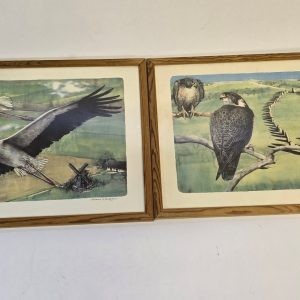 Fågeltavlor av Clarence och Kristoffer – Naturskön Konst i Rustik Inramning