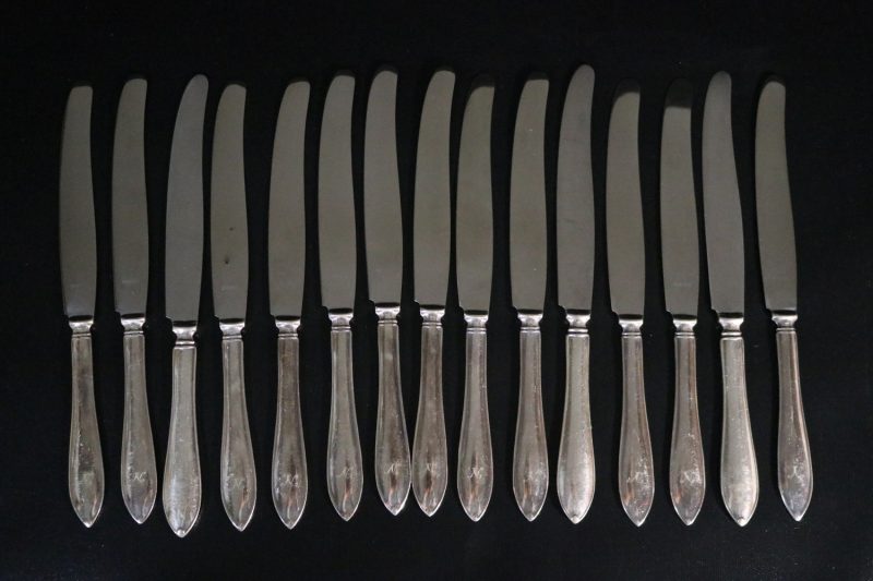 Elegant Bestickset med 15 Knivar i Rostfritt Stål – 24 cm