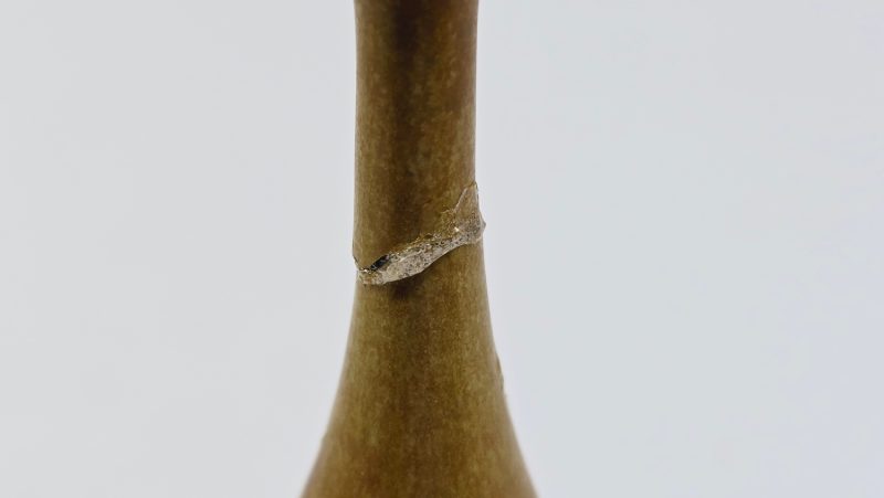 Rustik miniatyrvas från Höganäs – Skandinavisk charm