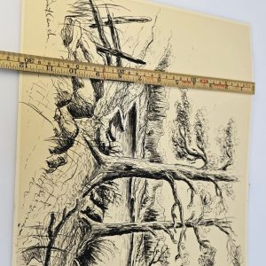 Vackert Jämtlandslandskap – Signerad