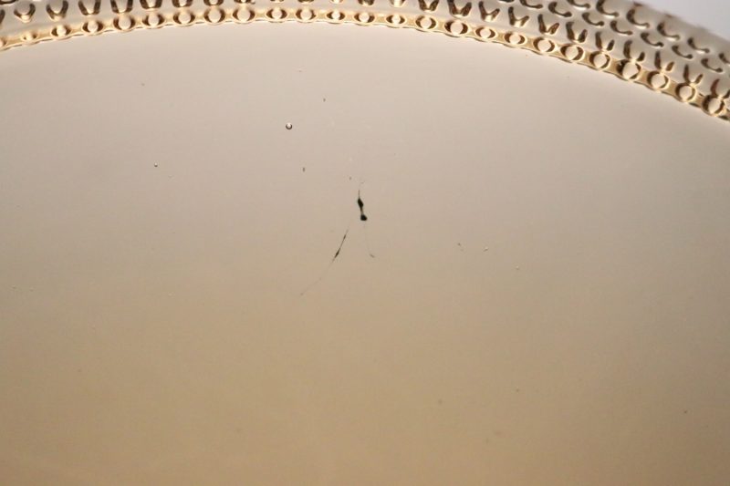 Gyllene färgad glasskål med en dekorativ kant