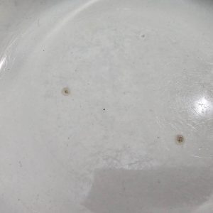 Öresund Djup skål 24,5 cm