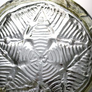 Unik Finsk Glasskål - Sköldpadda Design